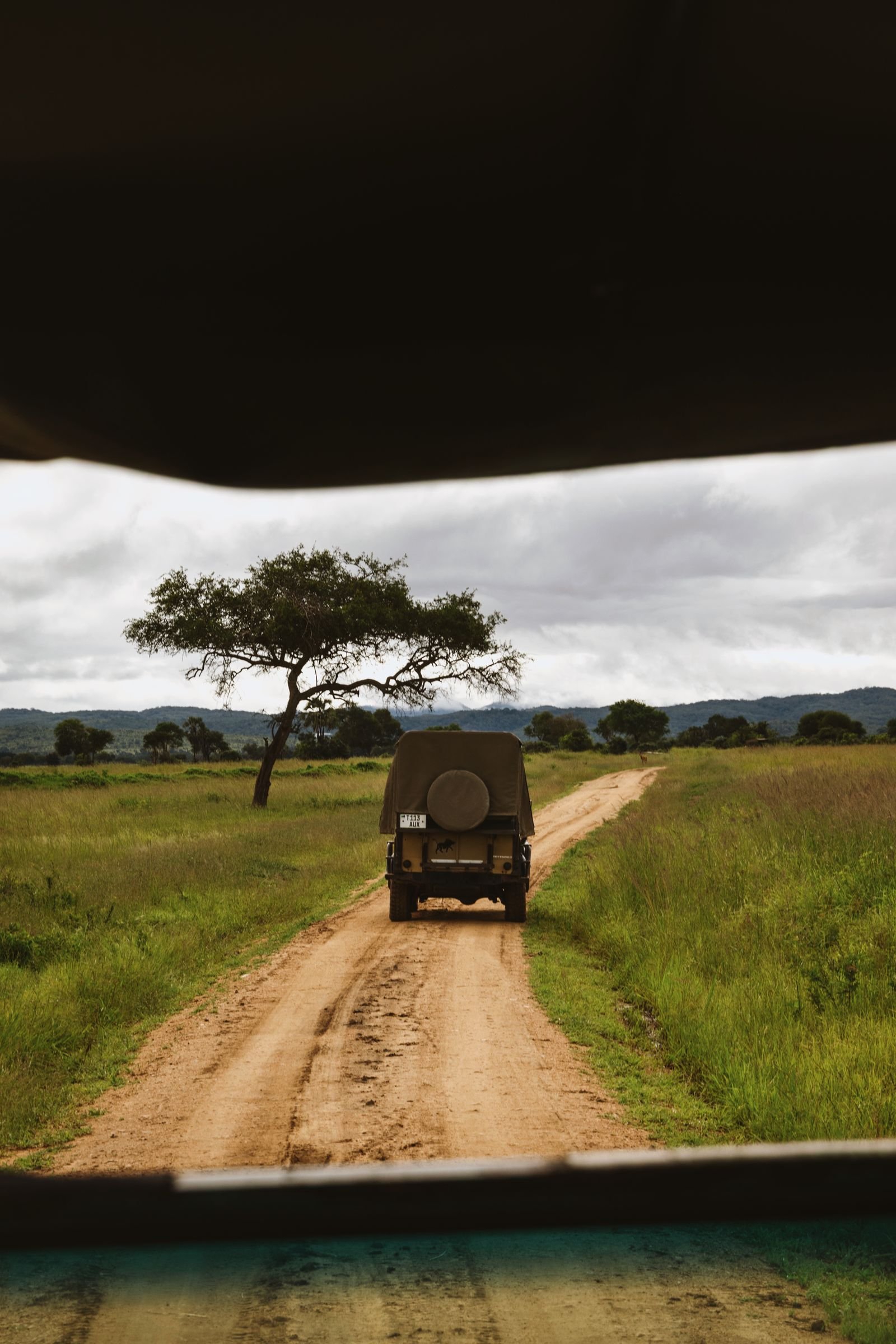 Mikumi National Park