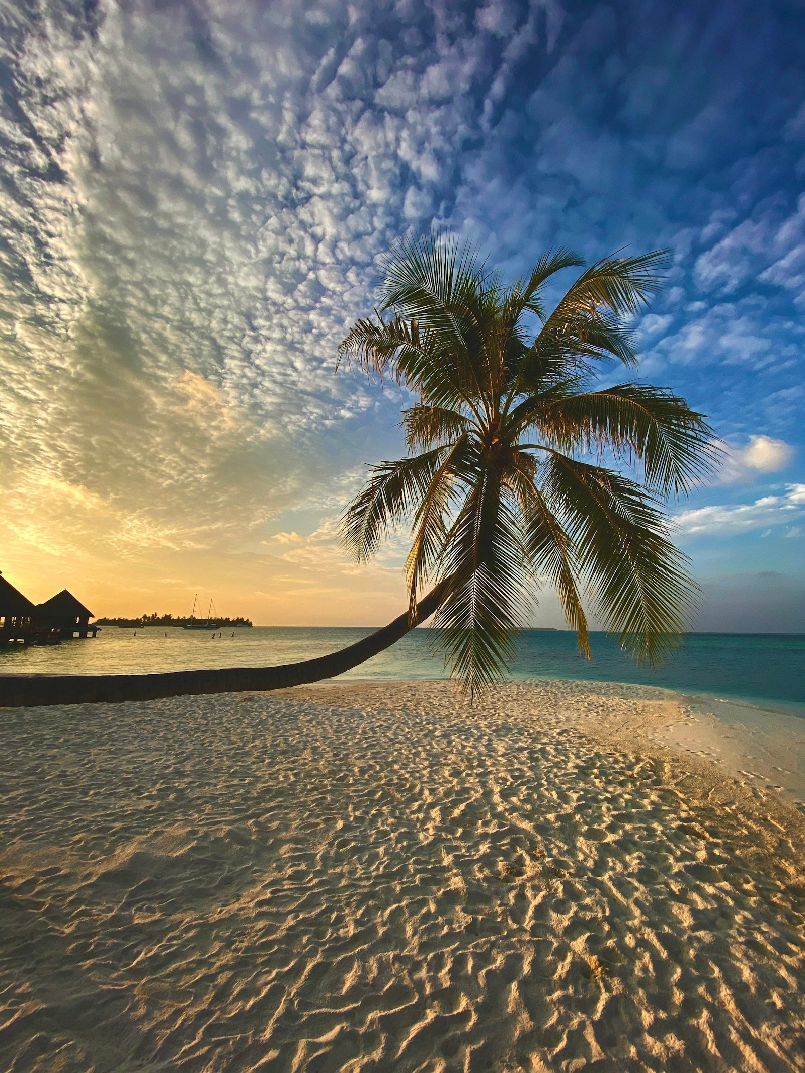 Zanzibar