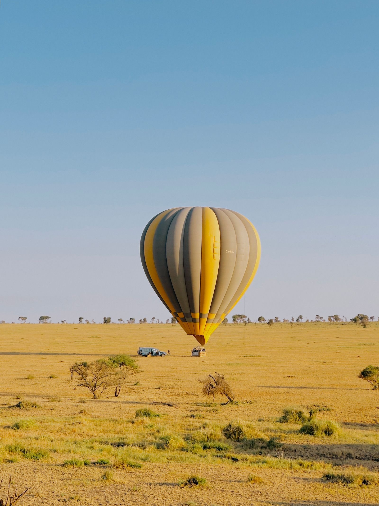 8-Day Big Five & Migration Explorer photo