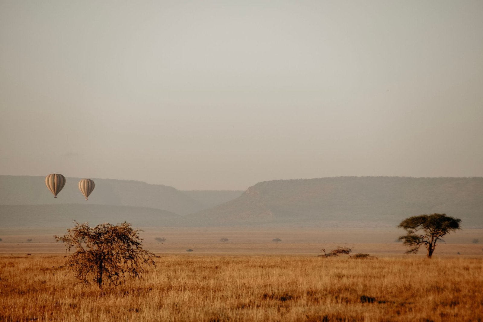 Hot air balloons over the Serengeti