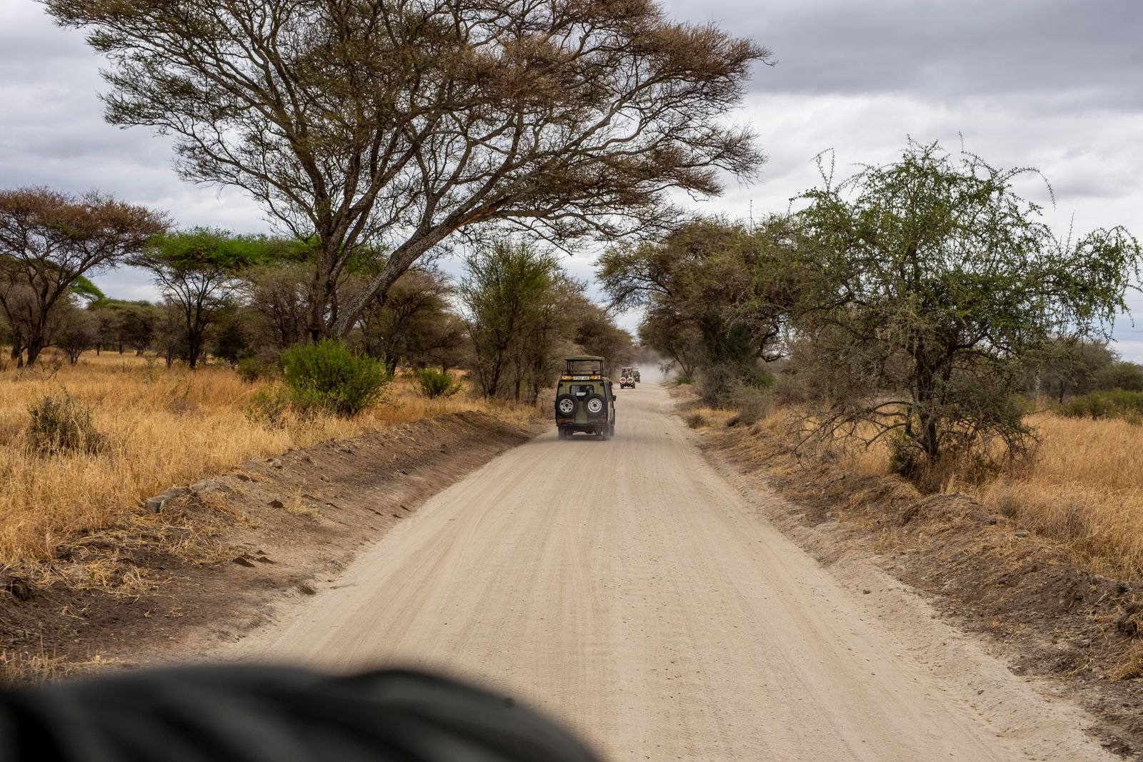Lake Manyara National Park Day Trip