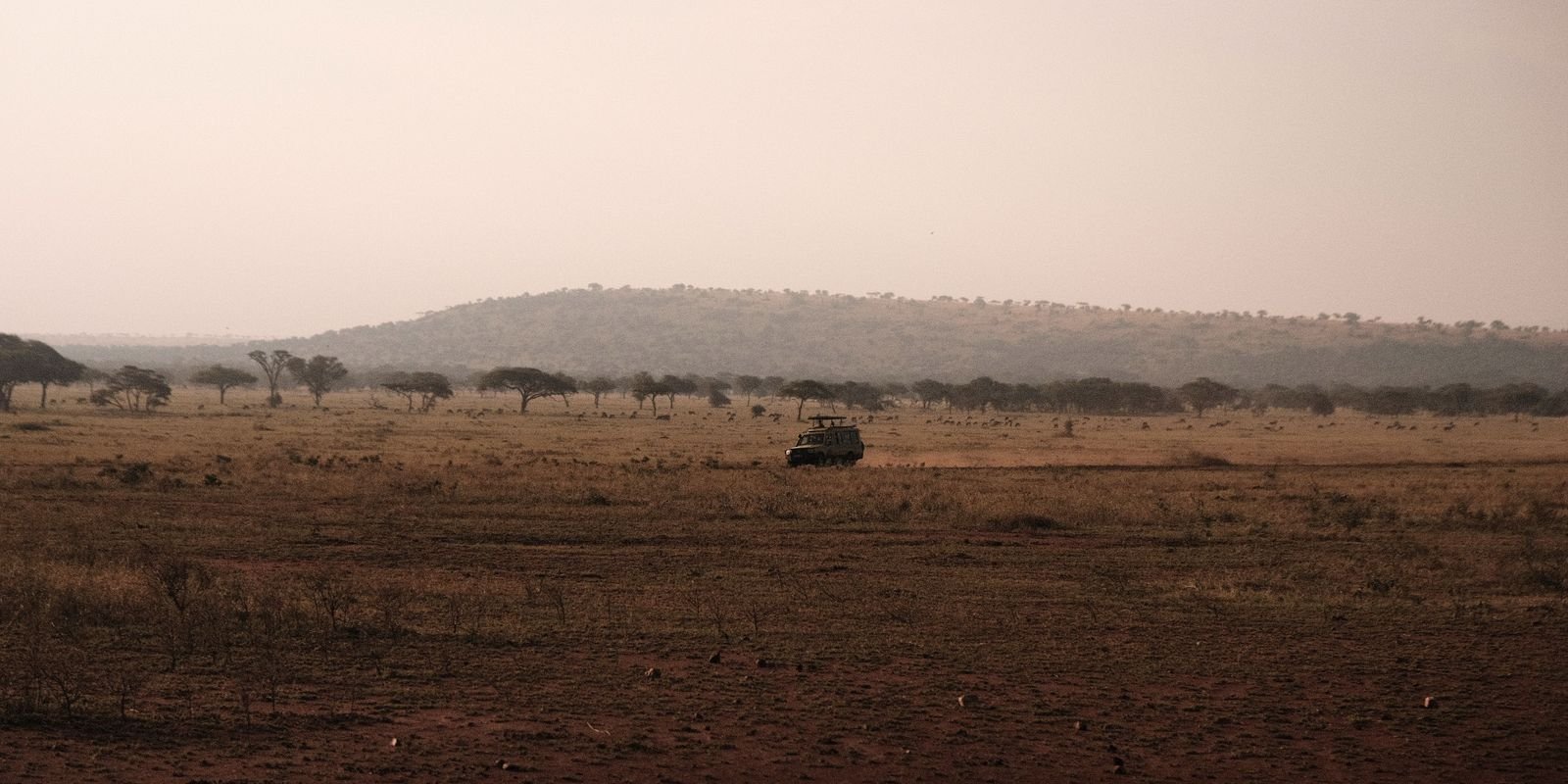 Ngorongoro Crater Day Trip